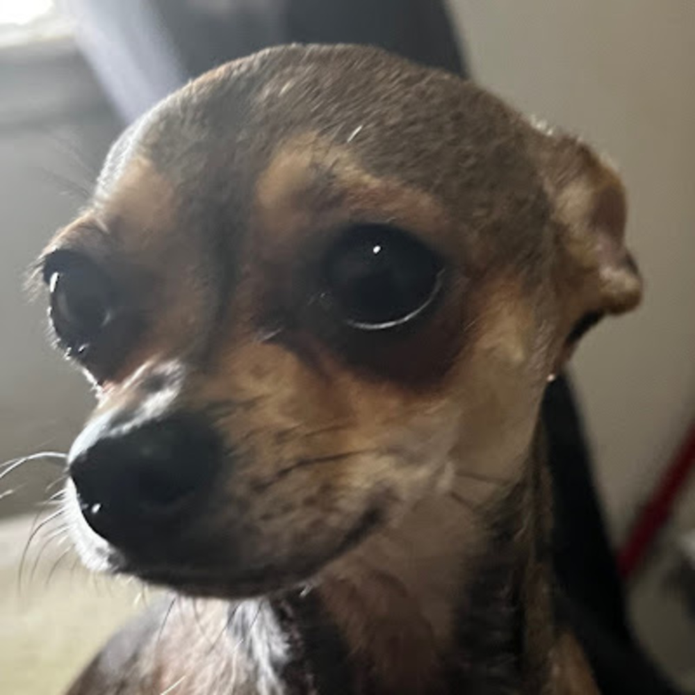 Meet your Posher, Juan